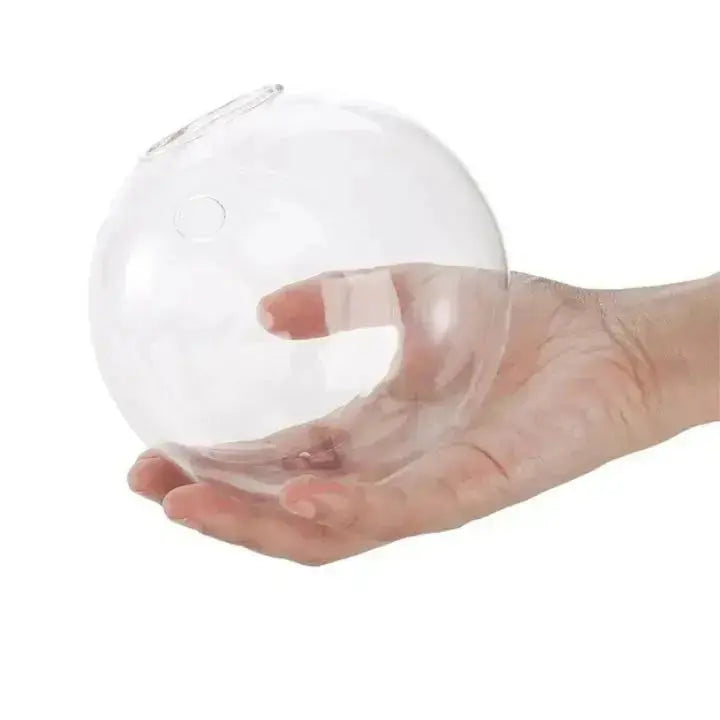 Elegante Glas Wandvase – Minimalistischer Pflanzenhalter