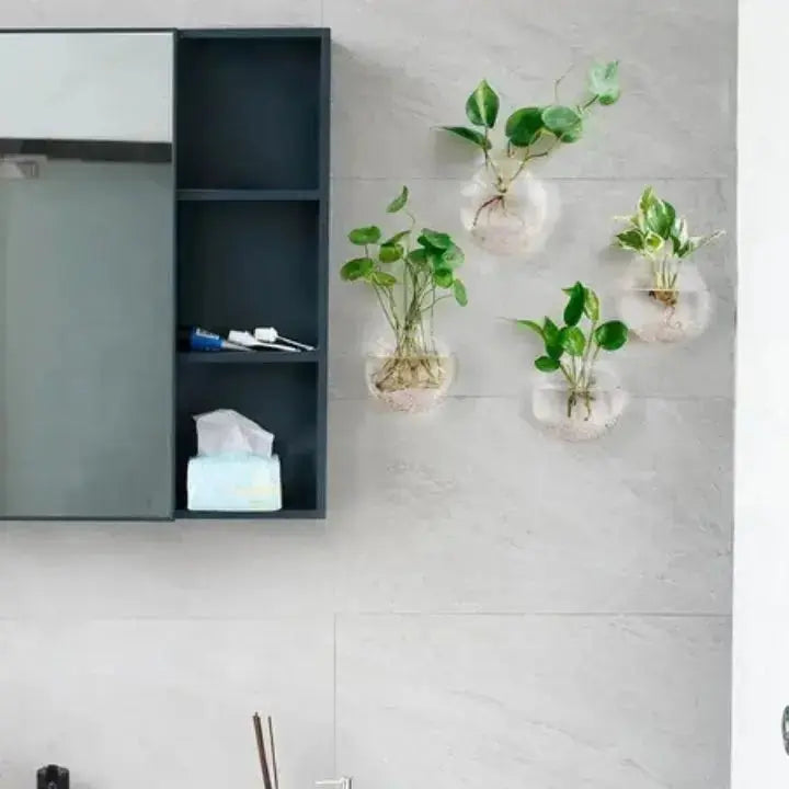 Elegante Glas Wandvase – Minimalistischer Pflanzenhalter