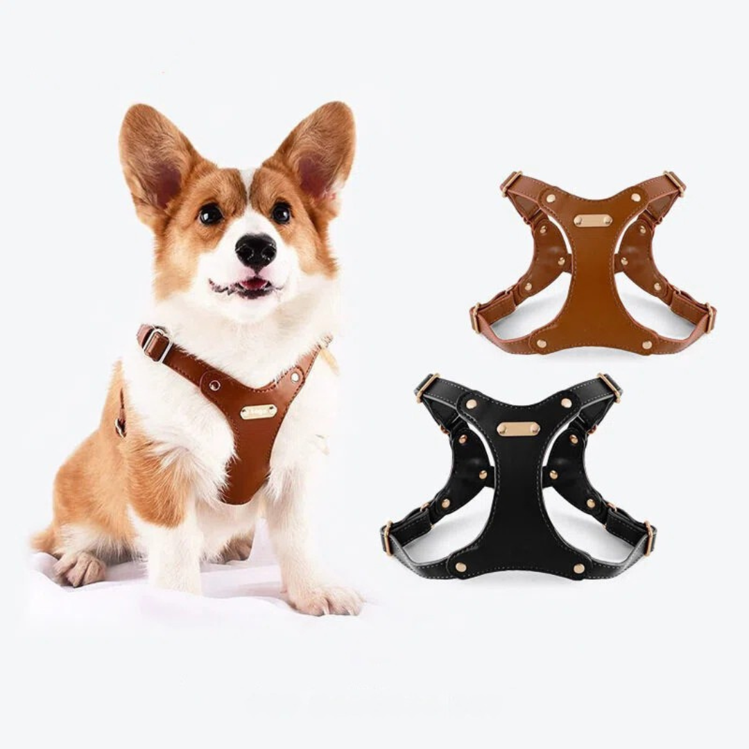 Verstellbares Leder-Hundegeschirr mit personalisierbarem Gravur Karnz