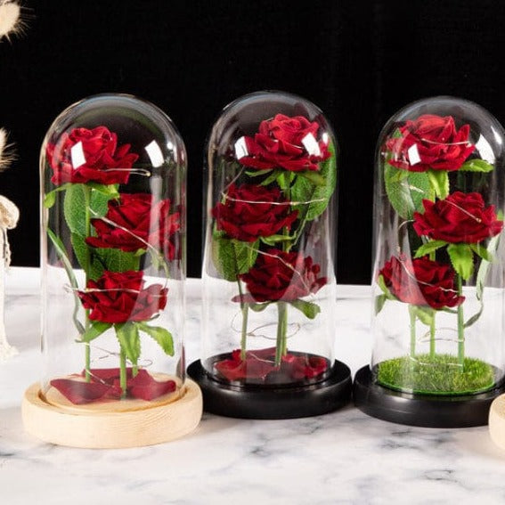 Ewige rote Rosen Blumen Karnz