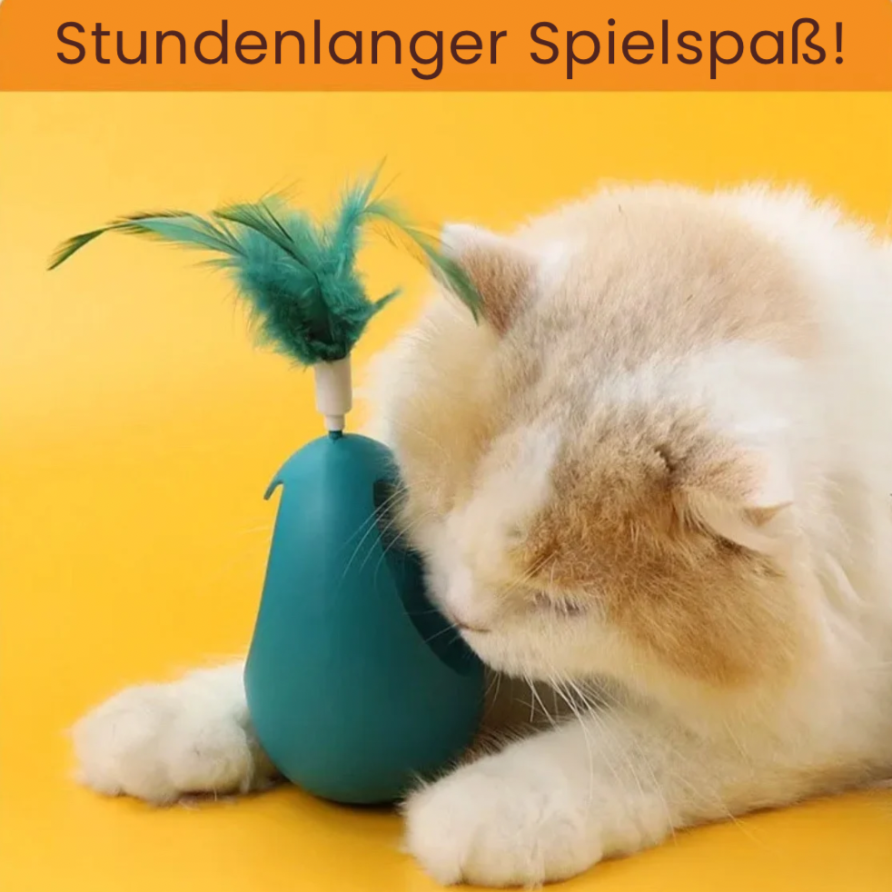 Catnip Ball Tumbler Spielzeug | Karnz