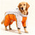 Warme und wasserdichte Winterjacke für Hunde mit reflektierenden Streifen