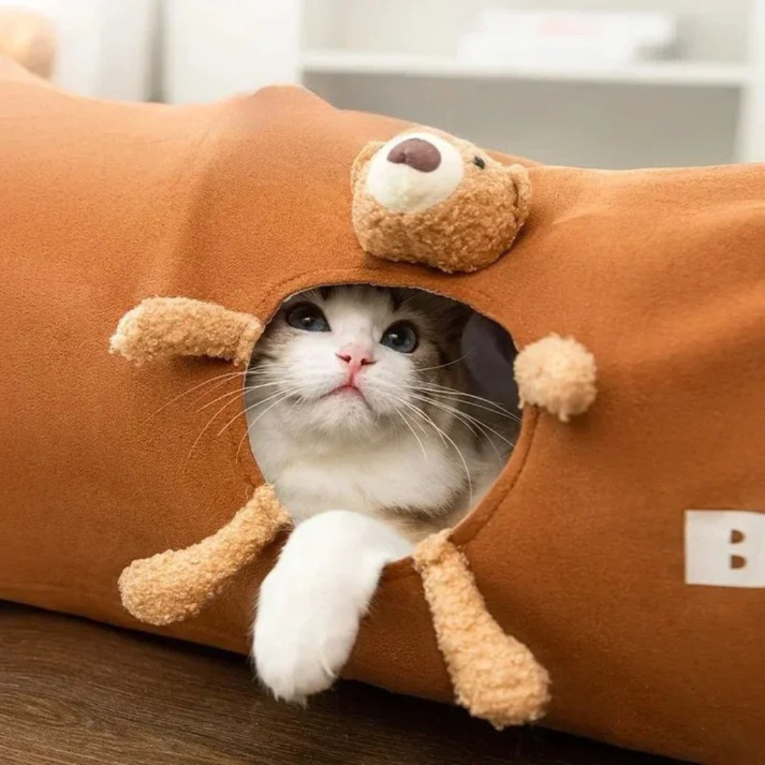 Kollapsbarer Katzentunnel für Hauskatzen zum Spielen und Verstecken Karnz