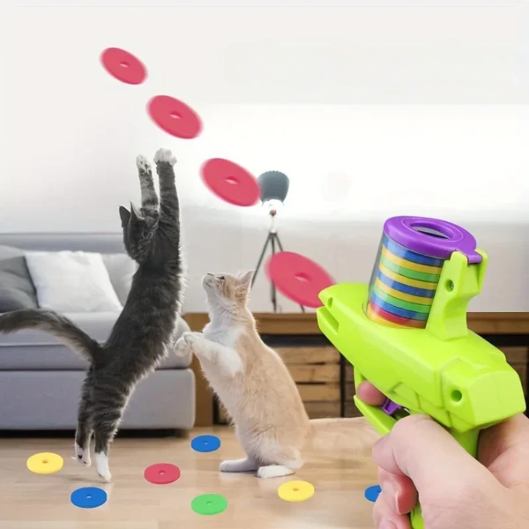 Interaktive Diskkanone für Katzen Karnz