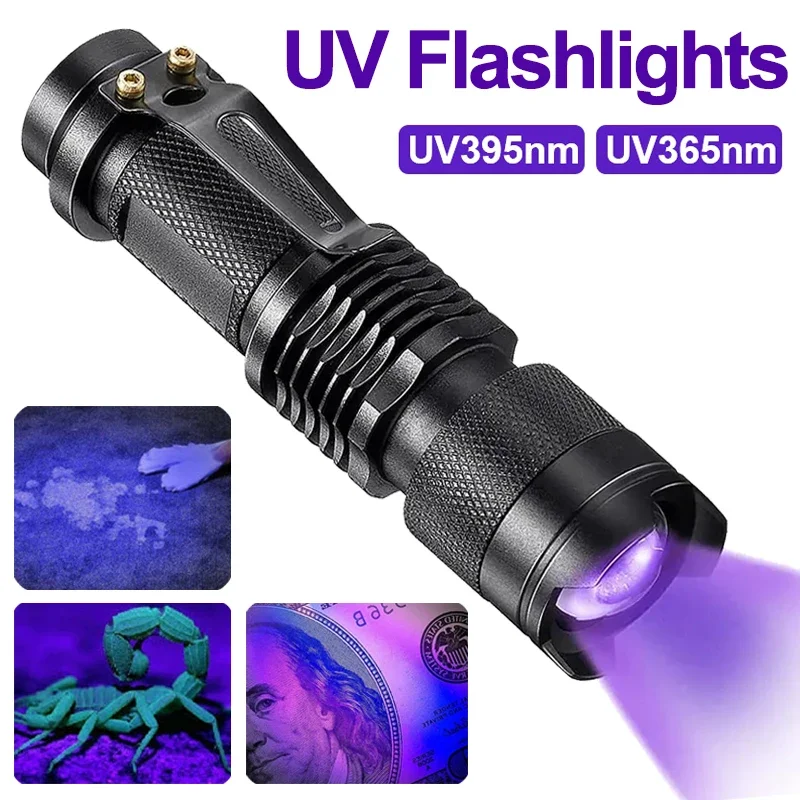 LED-UV-Taschenlampe – Ultraviolette Inspektionslampe zur Erkennung von Haustierurin und -flecken