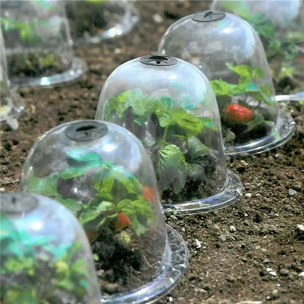 Frostschutz Klare Garten Pflanzenabdeckung | Karnz