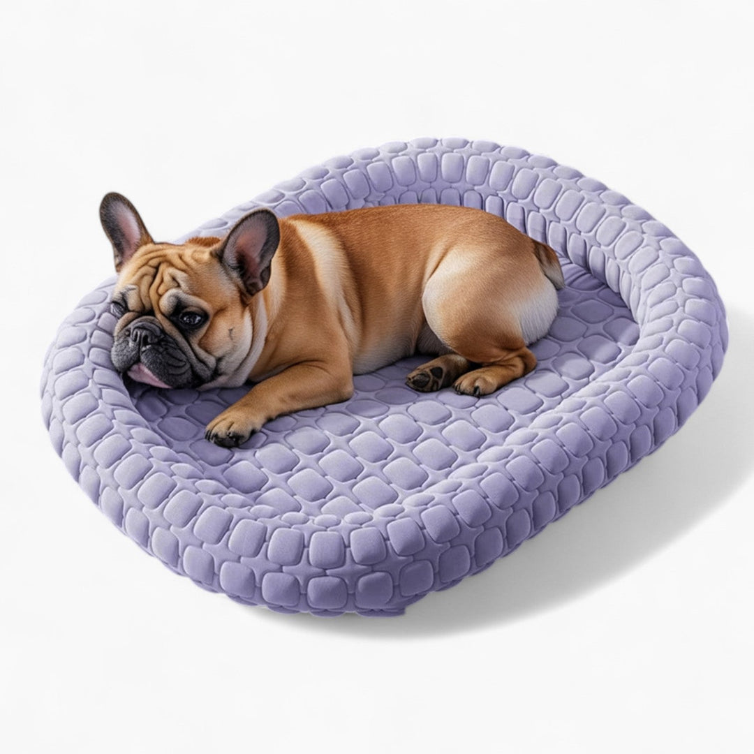 FrostiPad Französische Bulldogge Sommerbett – Rutschfeste Eis-Seiden-Orthopädische Matte | Karnz