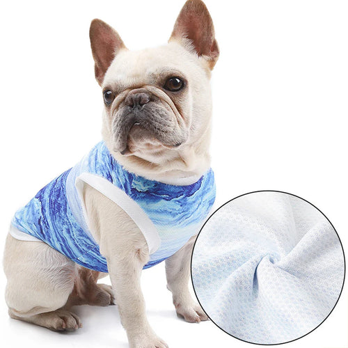 FrostyPet Frenchie Sommer Kühlweste | Karnz