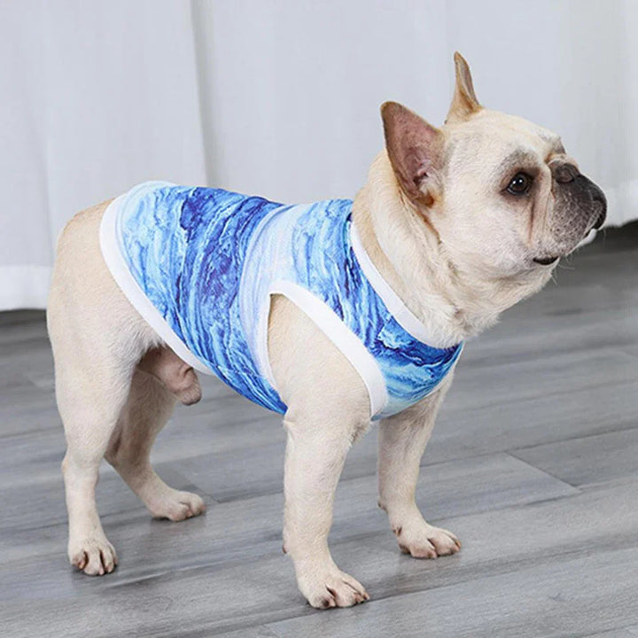 FrostyPet Frenchie Sommer Kühlweste | Karnz