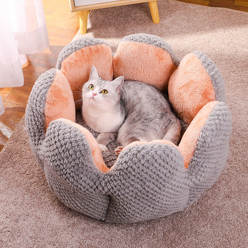Kaktusform bequemes Haustierbett weicher Korallvelours-Design | Karnz