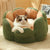 Kaktusform bequemes Haustierbett weicher Korallvelours-Design | Karnz