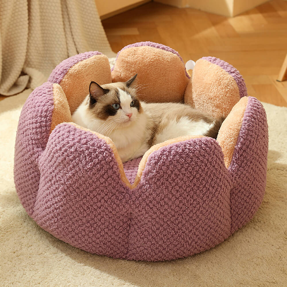Kaktusform bequemes Haustierbett weicher Korallvelours-Design | Karnz