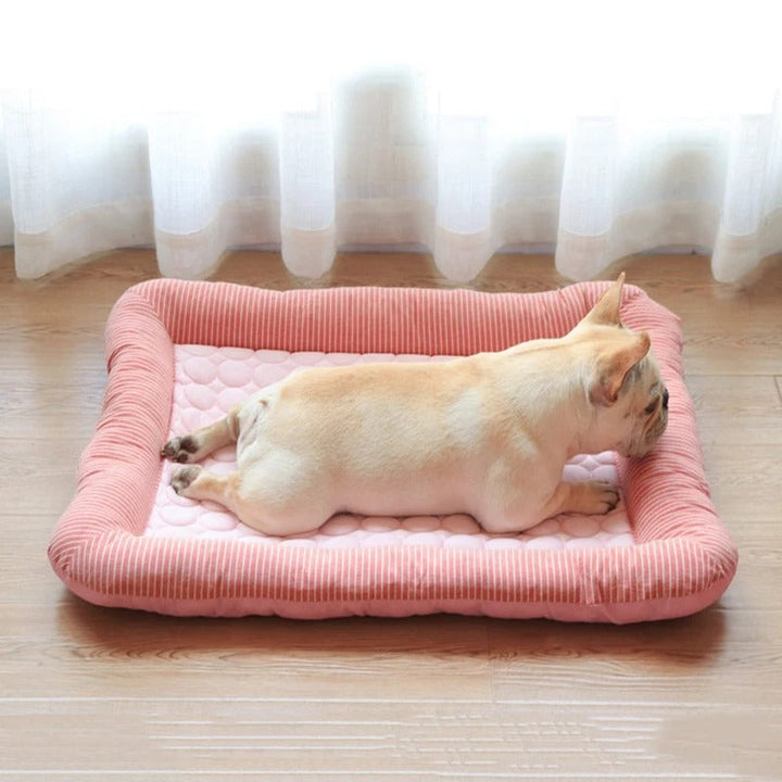 FurChill Frenchie Atmungsaktives Hundebett – Kühlmatte mit rutschfester Unterlage für heiße Tage | Karnz