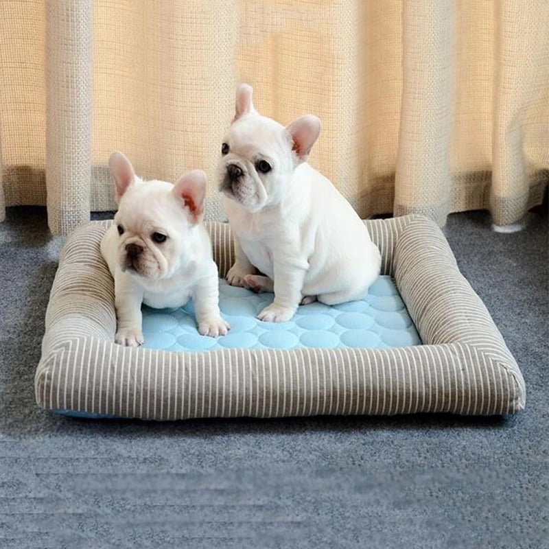 FurChill Frenchie Atmungsaktives Hundebett – Kühlmatte mit rutschfester Unterlage für heiße Tage | Karnz