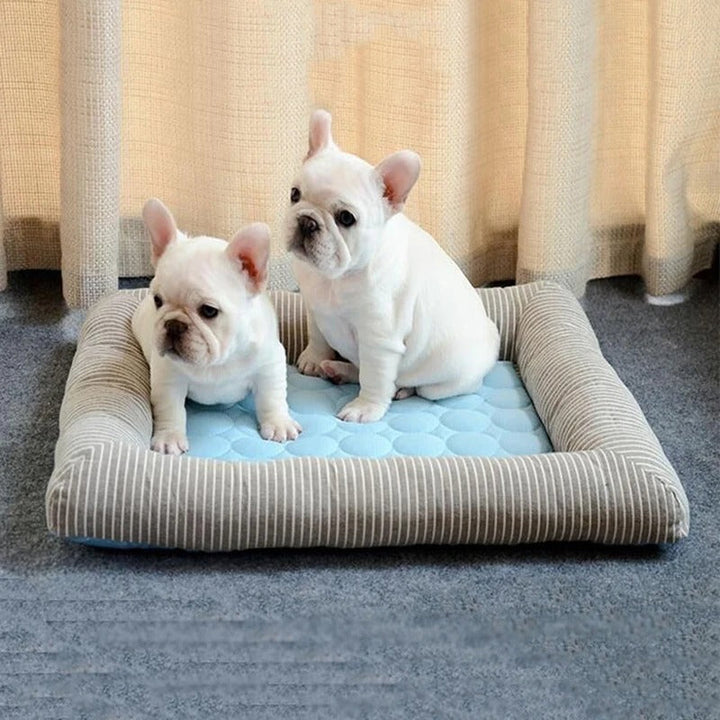 FurChill Frenchie Atmungsaktives Hundebett – Kühlmatte mit rutschfester Unterlage für heiße Tage | Karnz