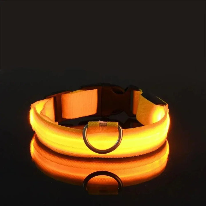 LED-Sicherheitshalsband für Hunde mit verstellbarer Passform