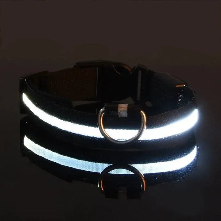 LED-Sicherheitshalsband für Hunde mit verstellbarer Passform