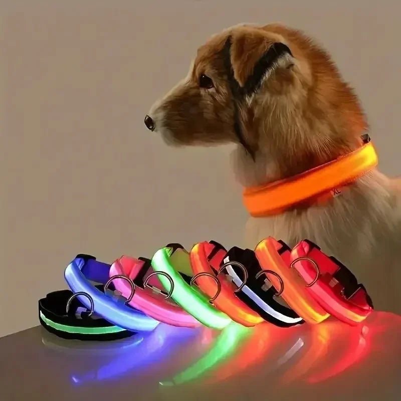 LED-Sicherheitshalsband für Hunde mit verstellbarer Passform