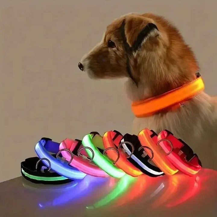 LED-Sicherheitshalsband für Hunde mit verstellbarer Passform