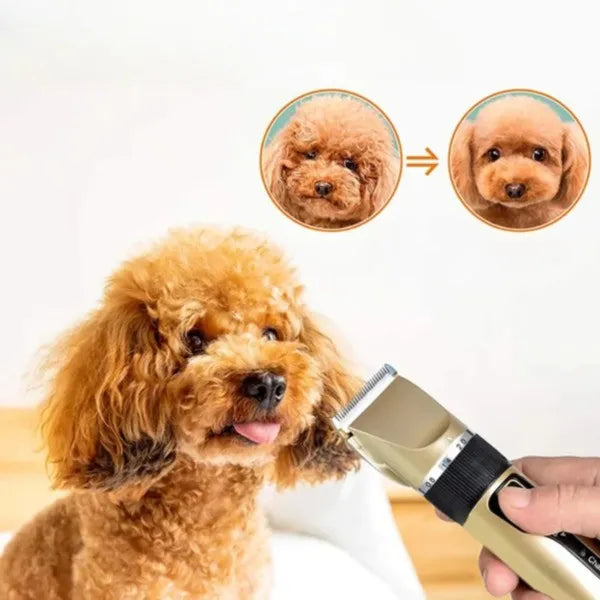 Silent Coat Trimmer Set für Hunde Karnz