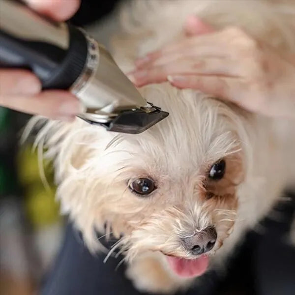 Silent Coat Trimmer Set für Hunde Karnz