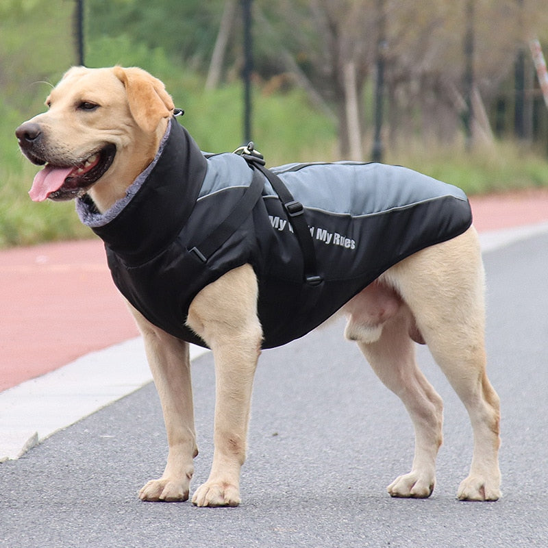 Karnz | Wasserdichte Winterhundejacken