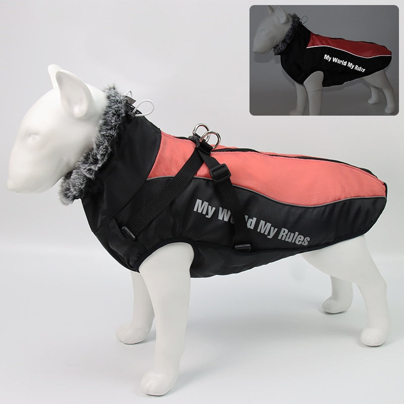 Karnz | Wasserdichte Winterhundejacken