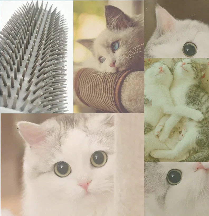Selbstpflege Katzen Eckenbürste – FurRelaxer Karnz