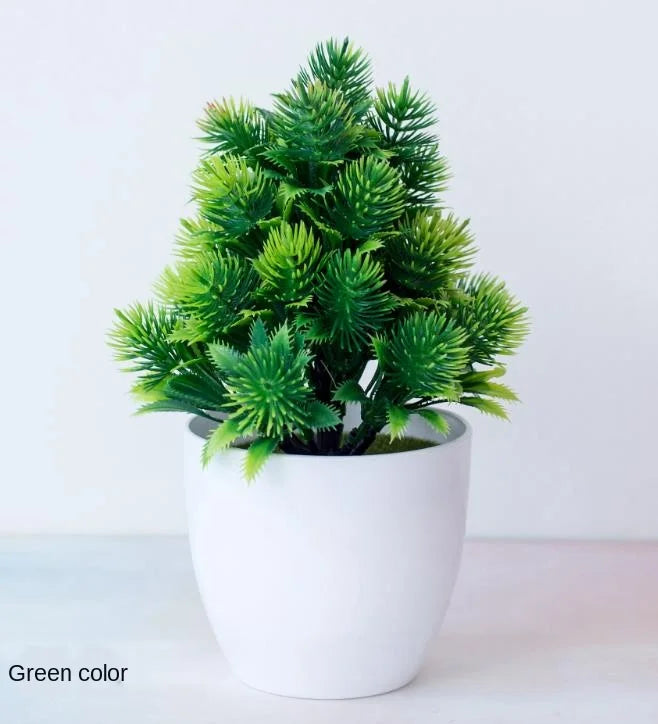 Kleine Bonsai-Pflanzen im Topf
