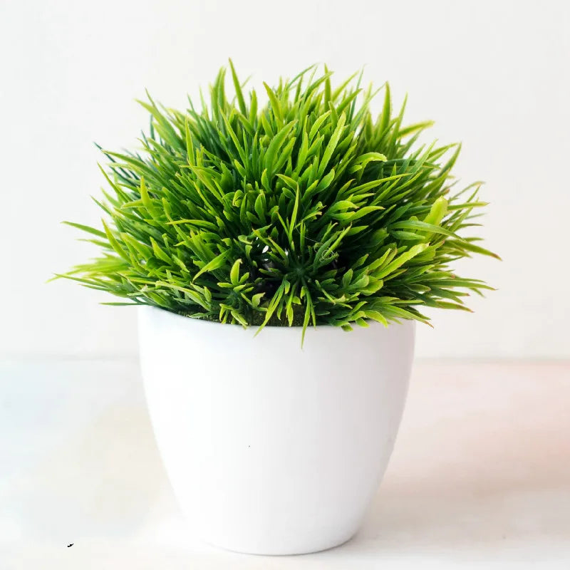 Kleine Bonsai-Pflanzen im Topf