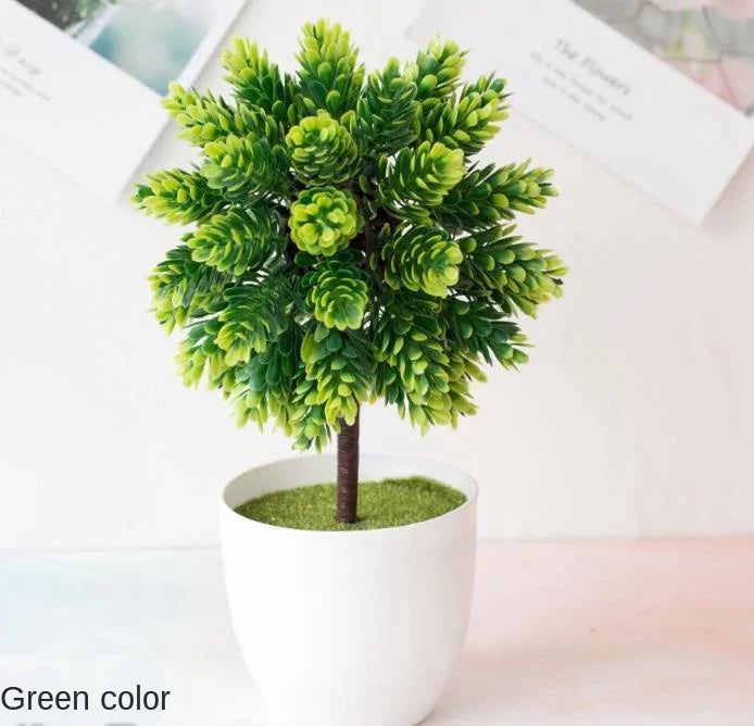 Kleine Bonsai-Pflanzen im Topf