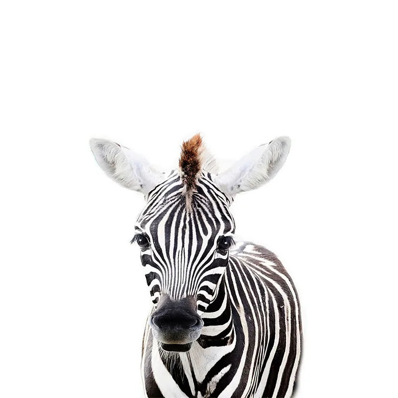 Baby Süße Tiere Wandaufkleber Für das Kinderzimmer Abnehmbar Peel and Stick Vinyl Wandtattoos Für das Zimmer des Babys Kreative DIY Wanddekoration | Karnz