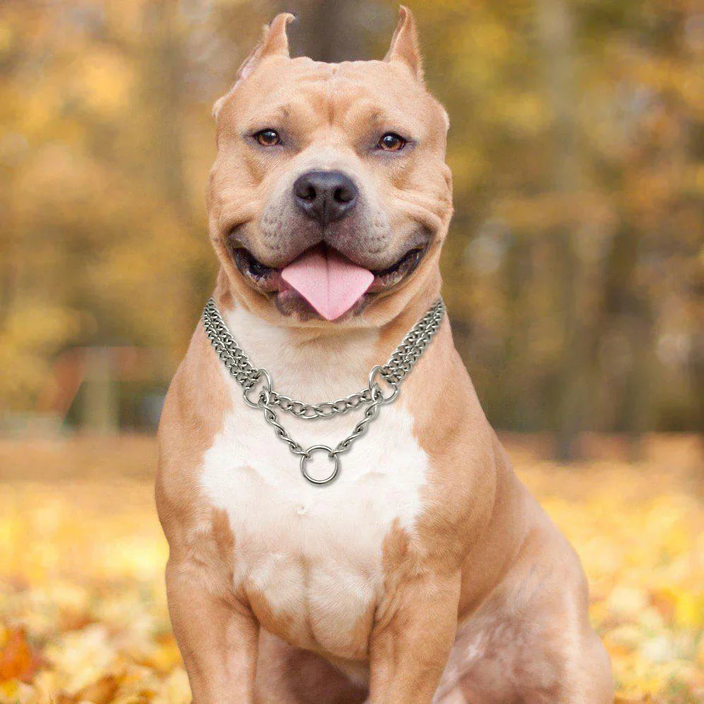 Sandsberg Edelstahl Hundetraining-Halskette