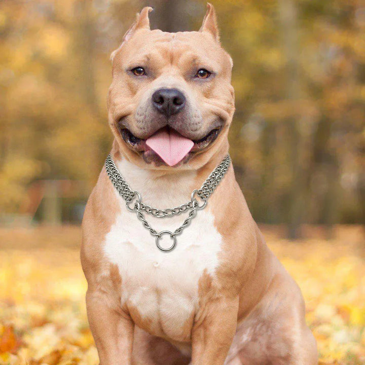 Sandsberg Edelstahl Hundetraining-Halskette
