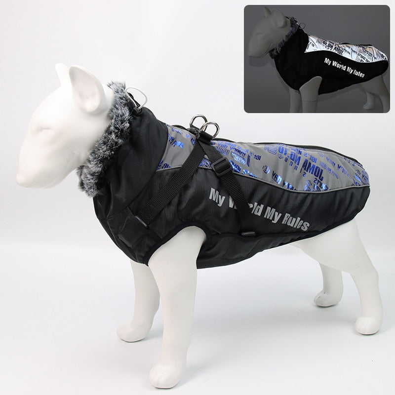 Karnz | Wasserdichte Winterhundejacken
