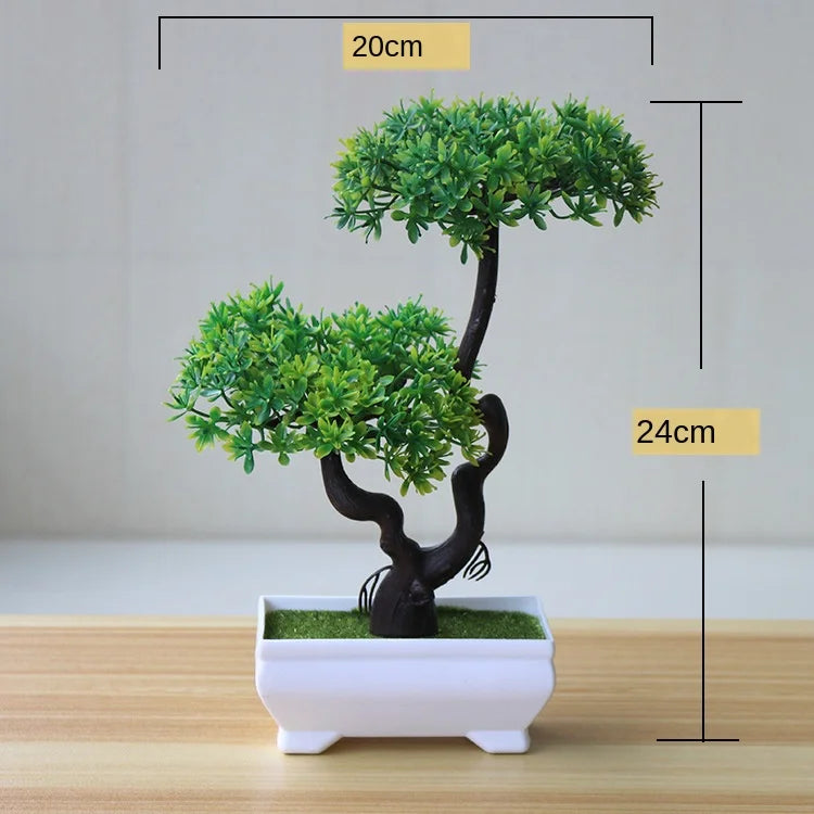 Kleine Bonsai-Pflanzen im Topf