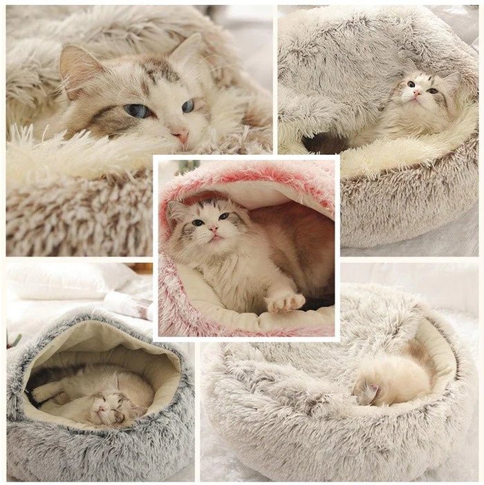 KittyCove Ultimativer Komfort für Ihre Katze | Karnz