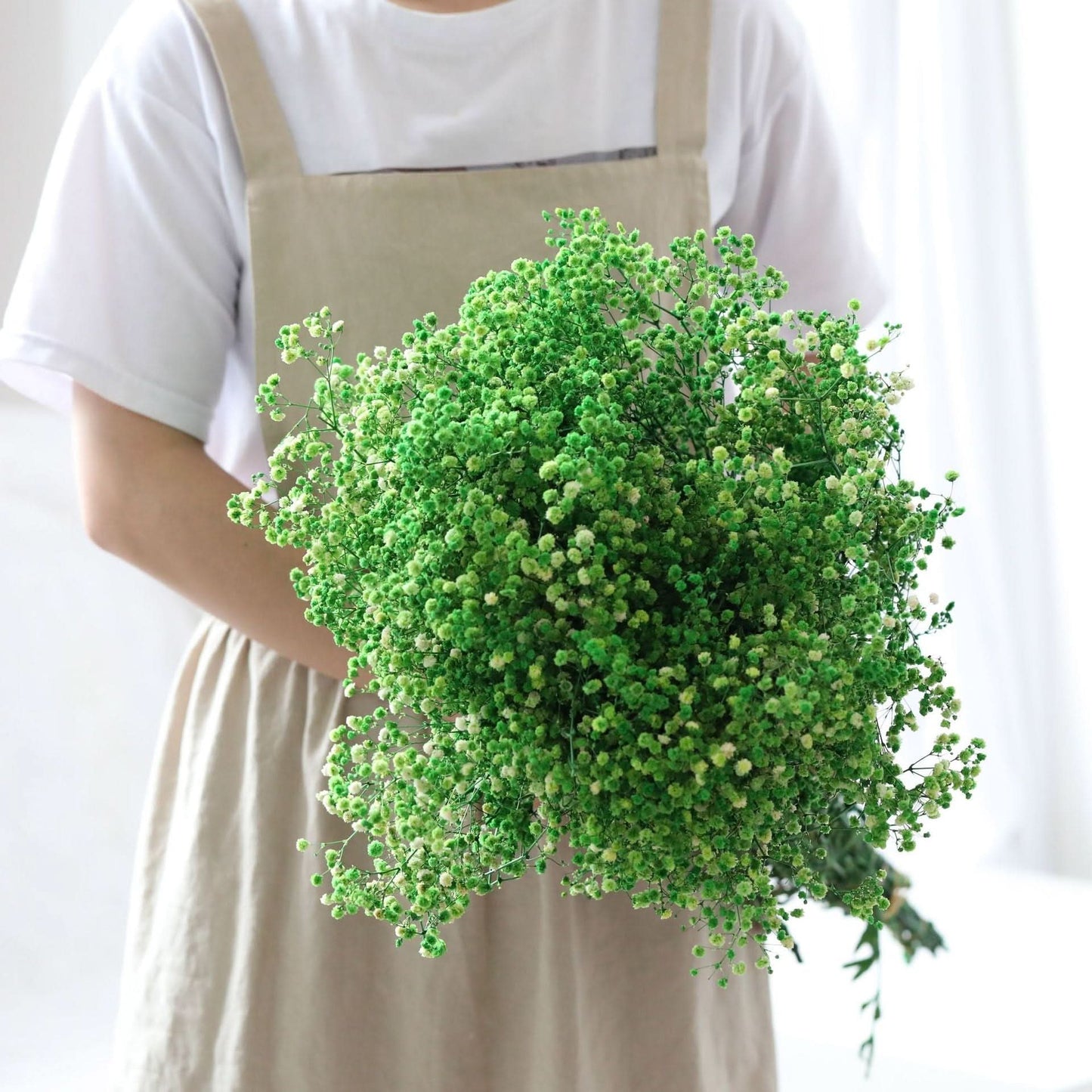 Getrockneter, konservierter Schleierkraut-Blumenstrauß – Natürliche Dekoration