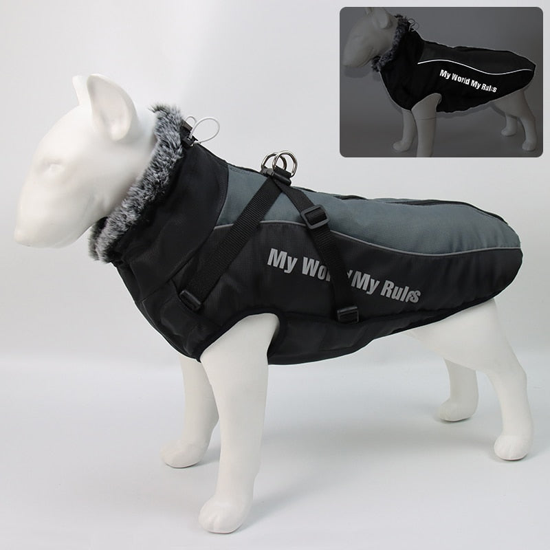 Karnz | Wasserdichte Winterhundejacken