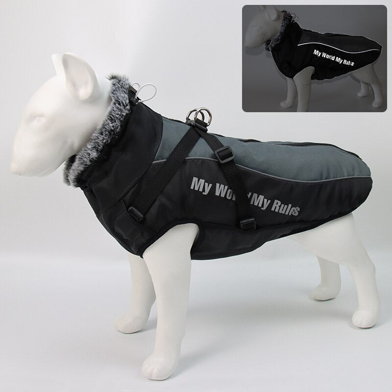 Karnz | Wasserdichte Winterhundejacken