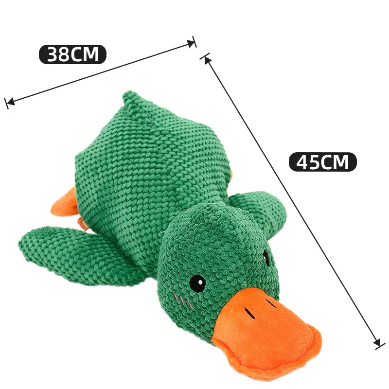 Beruhigender Enten für Hunde