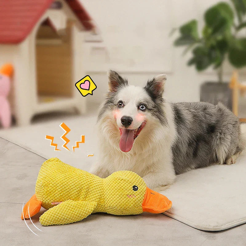 Beruhigender Enten für Hunde