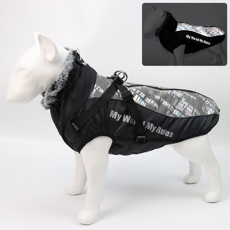 Karnz | Wasserdichte Winterhundejacken