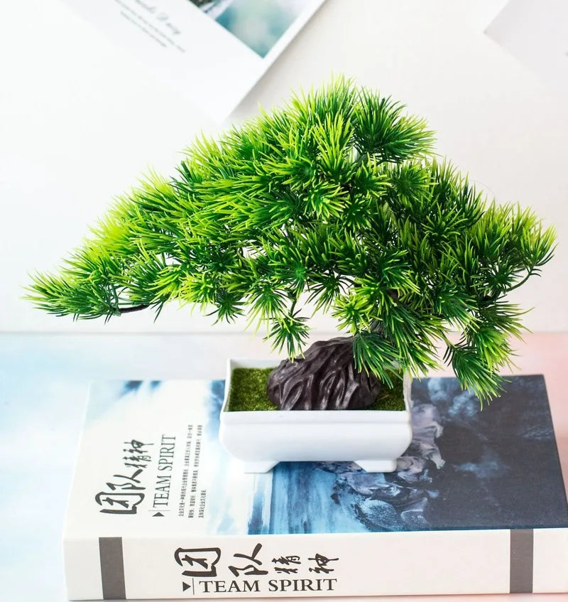 Kleine Bonsai-Pflanzen im Topf