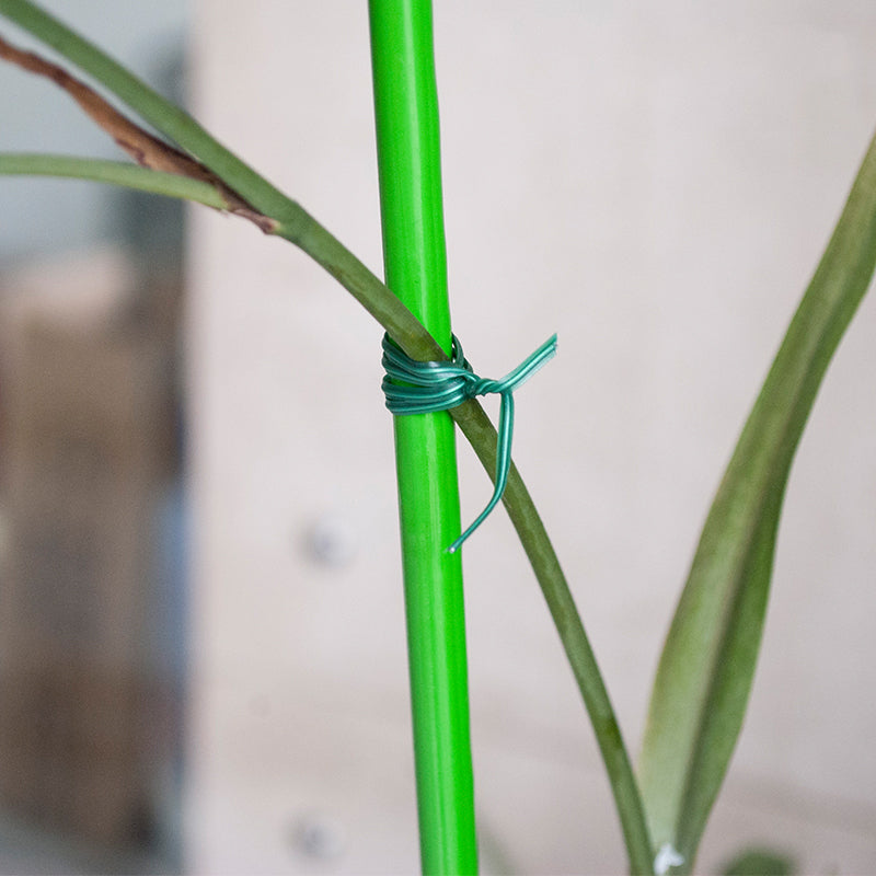 Garten Draht Easy Tie Kabel Werkzeug | Karnz