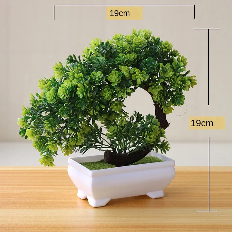 Kleine Bonsai-Pflanzen im Topf