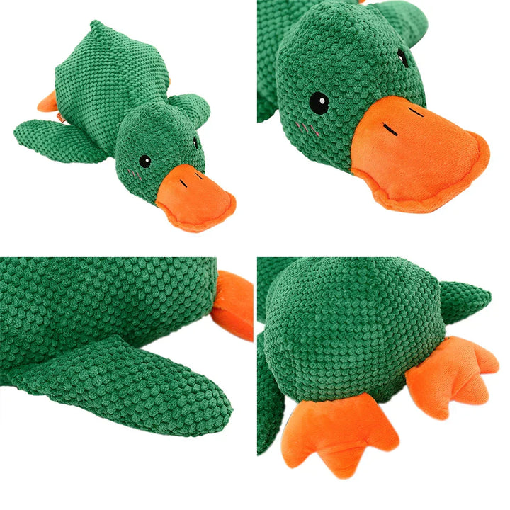 Beruhigender Enten für Hunde