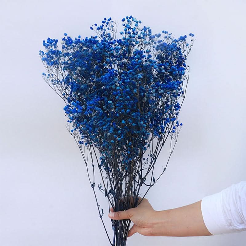 Getrockneter, konservierter Schleierkraut-Blumenstrauß – Natürliche Dekoration