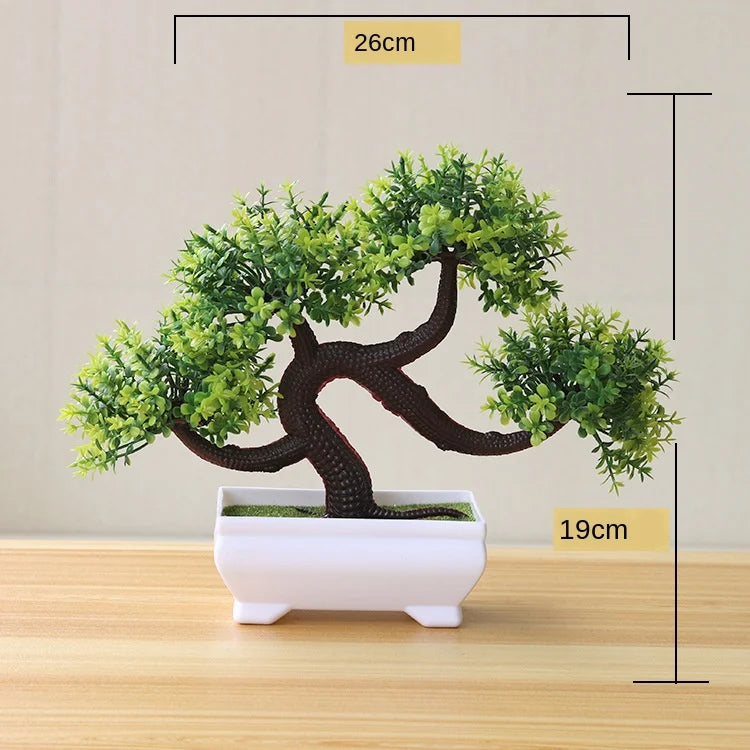 Kleine Bonsai-Pflanzen im Topf