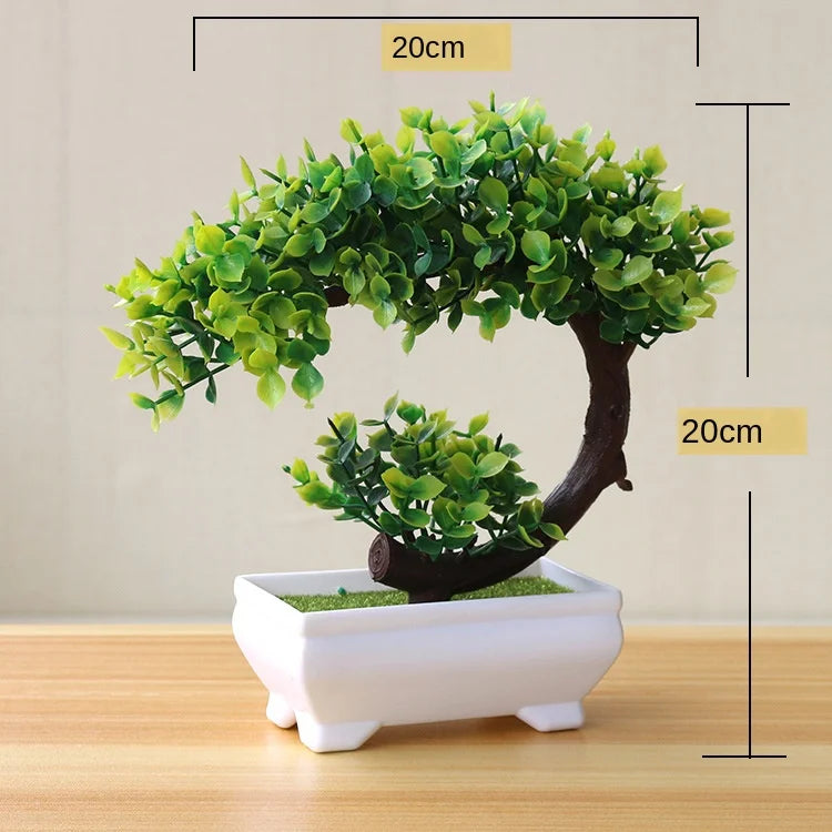 Kleine Bonsai-Pflanzen im Topf